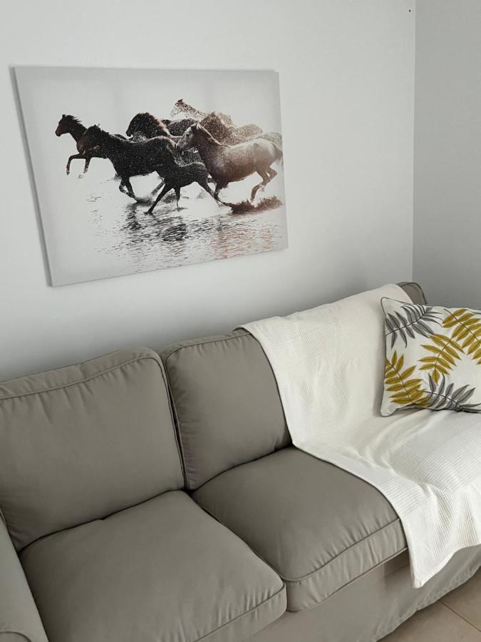 Sherry Suites VI Apartamentos Parking Gratuito Jerez de la Frontera Buitenkant foto